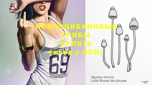 не бодяженный Бородино