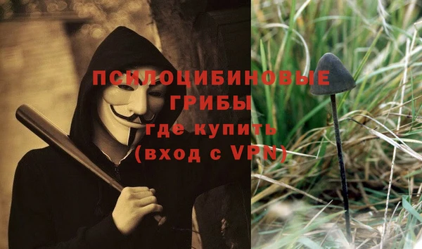 мяу мяу кристалл Богданович