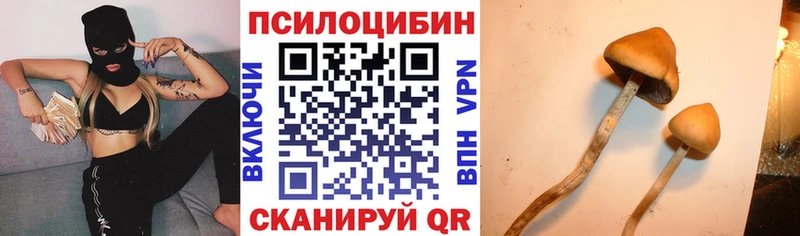 Галлюциногенные грибы Psilocybe  дарк нет Telegram  Ейск 